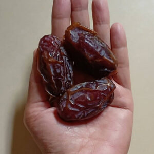 medjool dates
